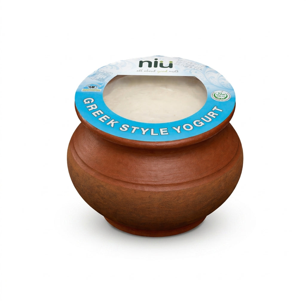 Yogurt Clay Pot