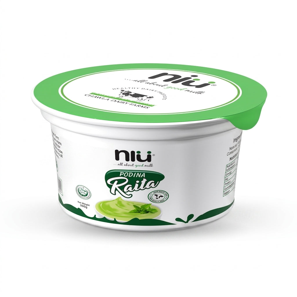 Podina Raita